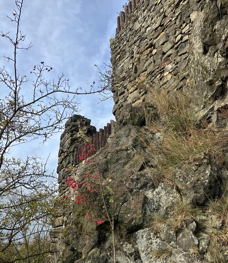 Cyklovlet na zceninu Star Bertejn