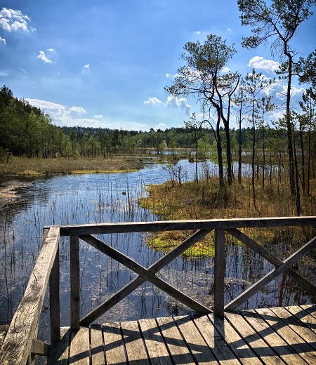 Cyklovlet na Mchovo jezero
