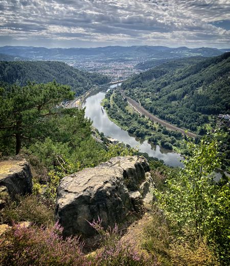 D���nsk� vrchovina - R��ov� vyhl�dka