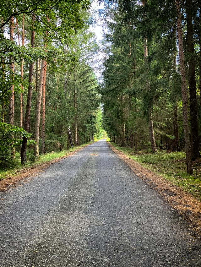 Potovn cesta
