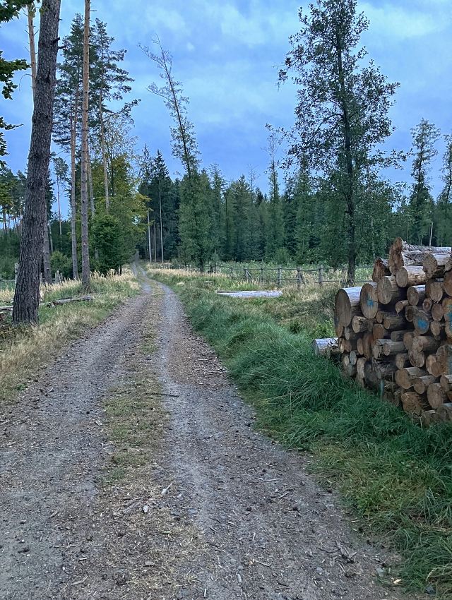 Luick cesta