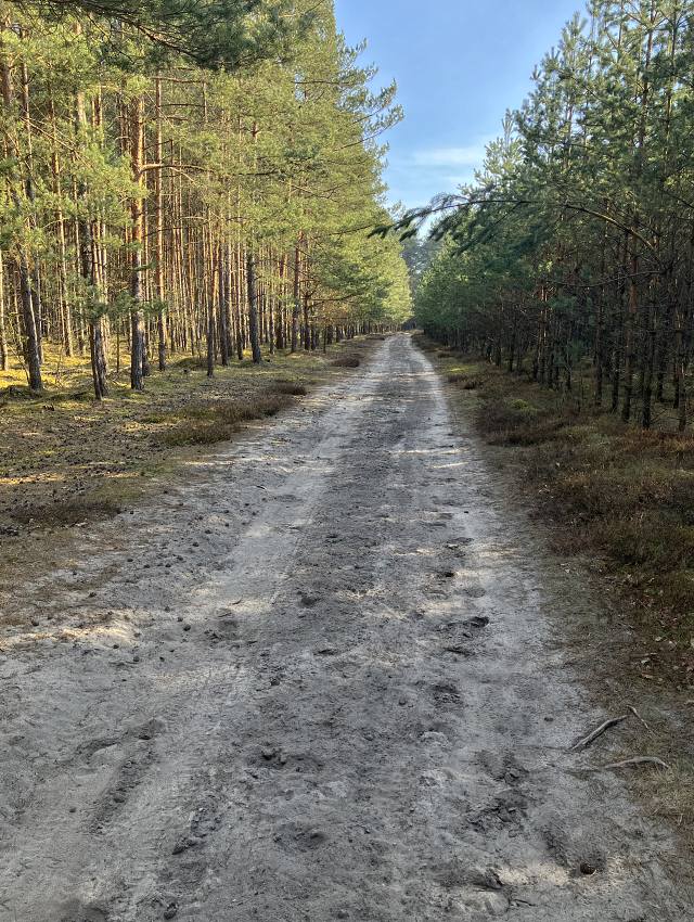 Hradansk cesta