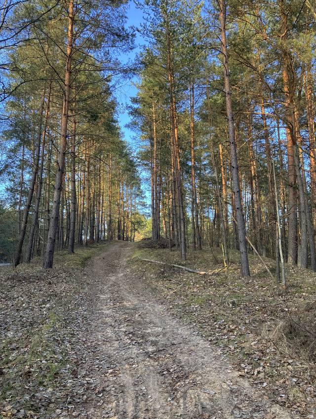 Vjezd smrem na Boreek