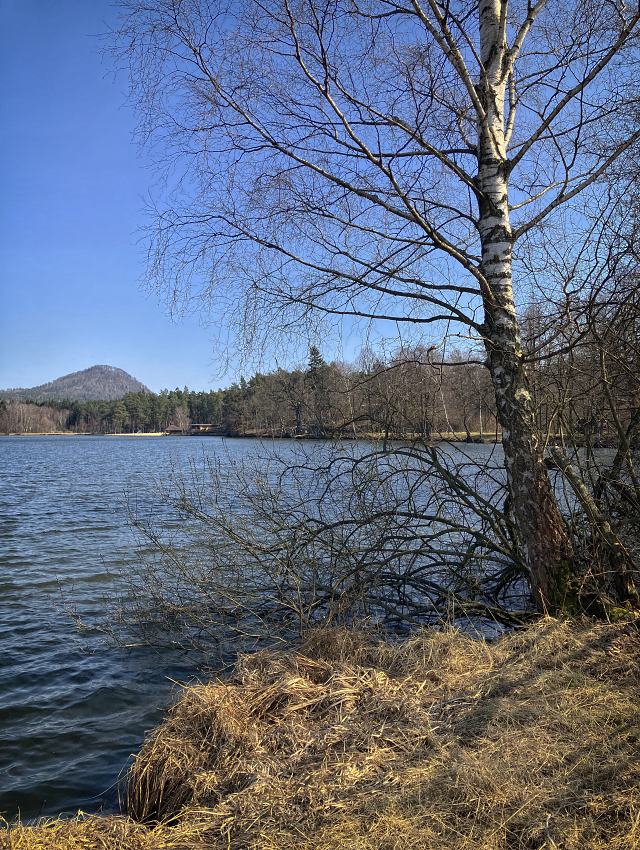 Radvaneck rybnk