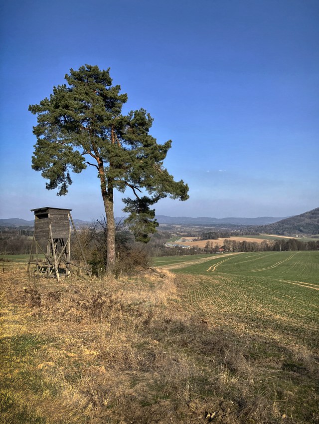 Vyhldka na Brnit