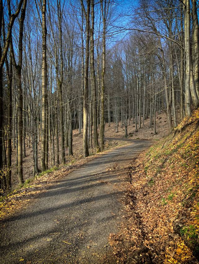 Nov cesta
