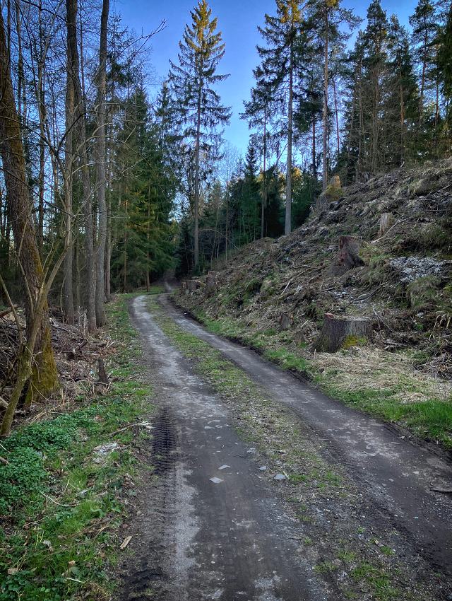 Martinovo dol