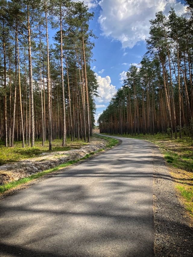 Novohospodsk cesta