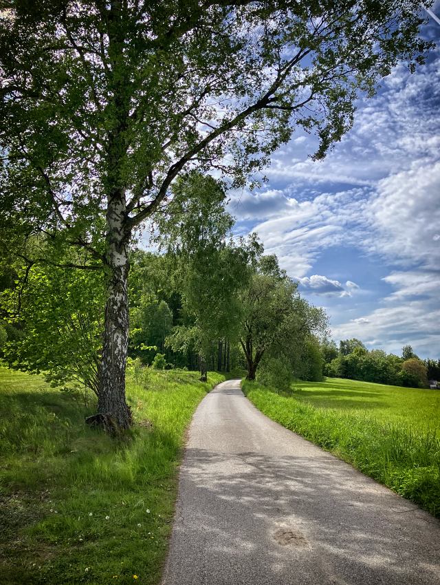 Ped Skalkou