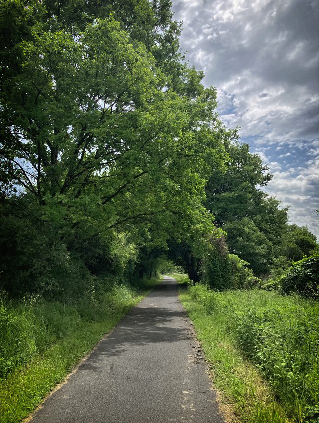 Cyklostezka Vl�� D�l