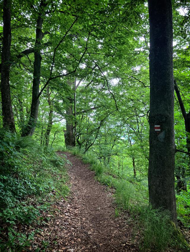 Trasa po �erven�