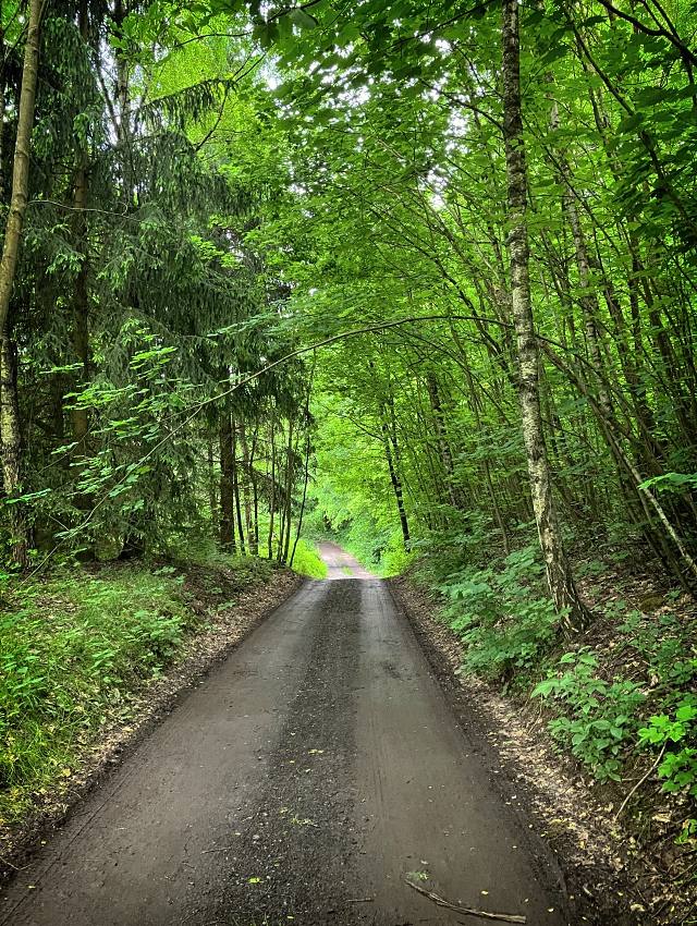 Pod Pta��m vr�kem