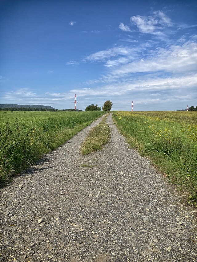 Cesta z Doln� Libchavy