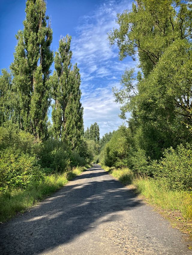 Star� cesta do Stru�nice