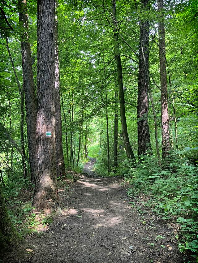 Terez�nsk� �dol�