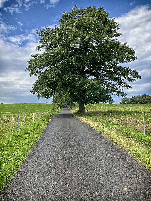 V��lap na Sokol� vrch