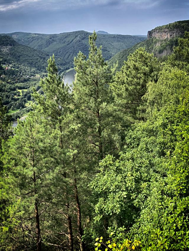 R��ov� vyhl�dka