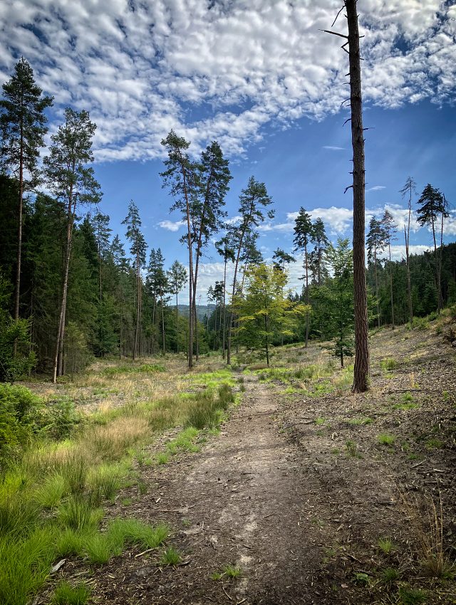 Pod Slune�n� branou