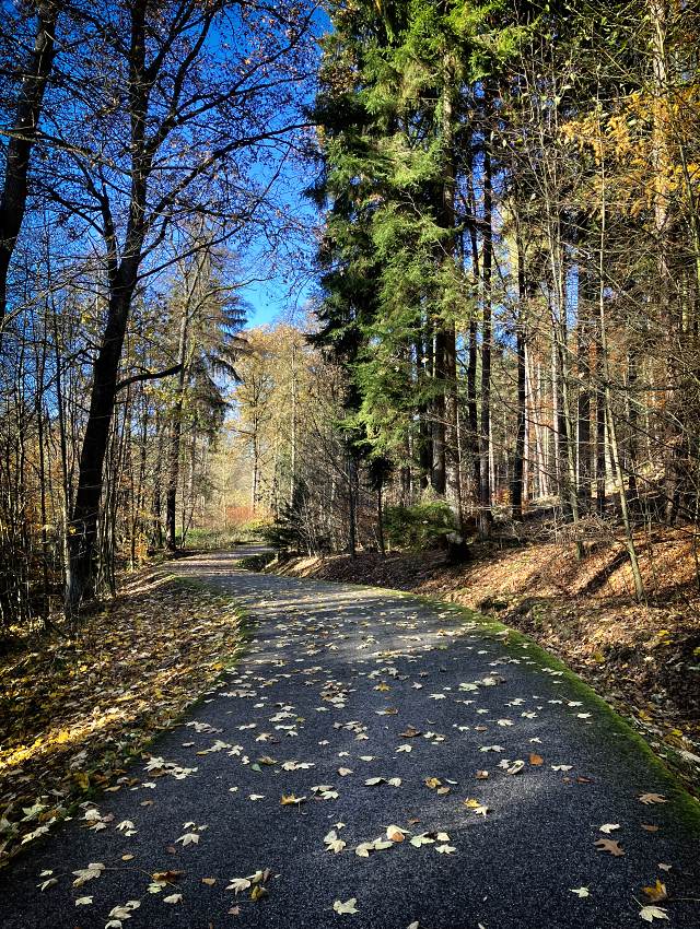 Cyklostezka Nov� Bor