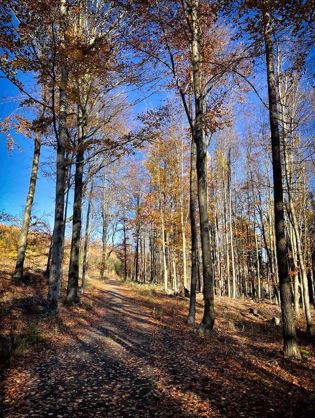 Cyklotrasa Cesta k soused�m