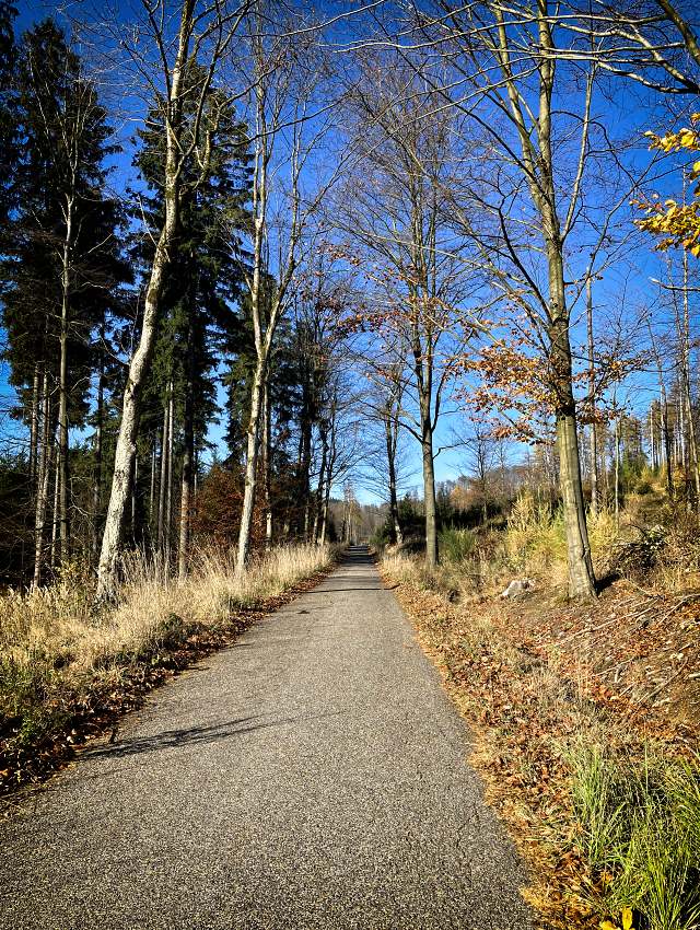 Modr� turistick� trasa